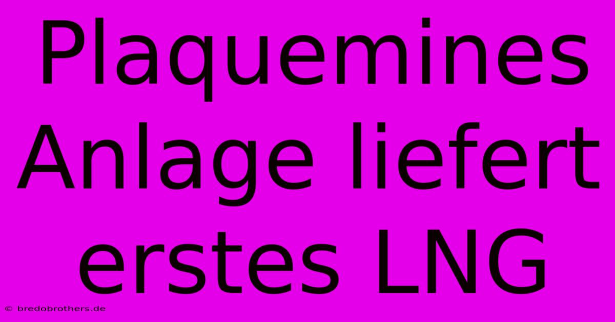 Plaquemines Anlage Liefert Erstes LNG