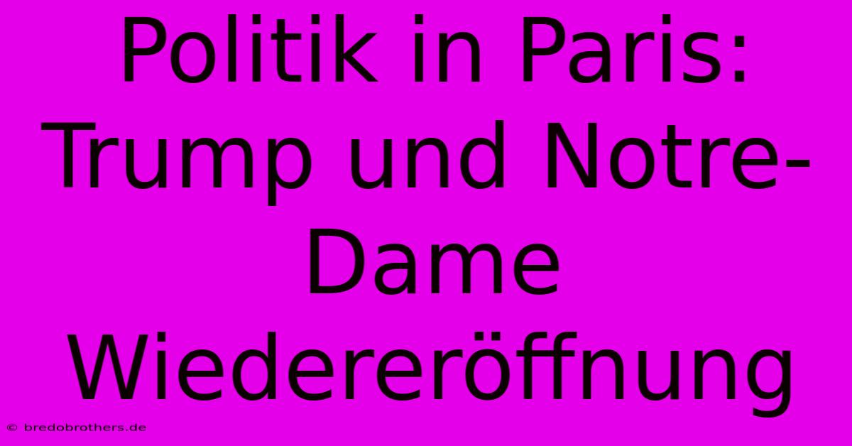 Politik In Paris: Trump Und Notre-Dame Wiedereröffnung