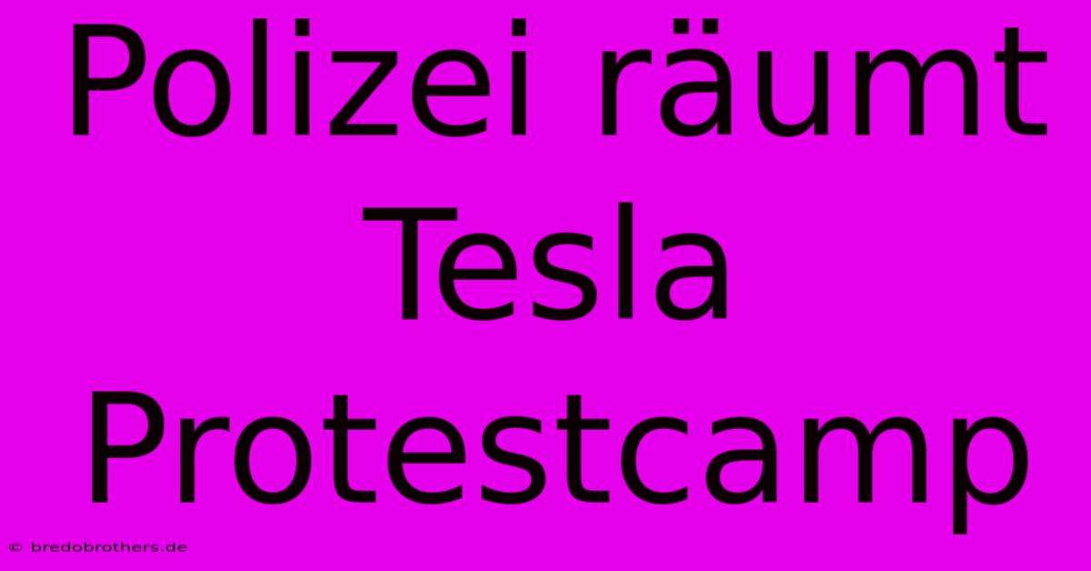 Polizei Räumt Tesla Protestcamp