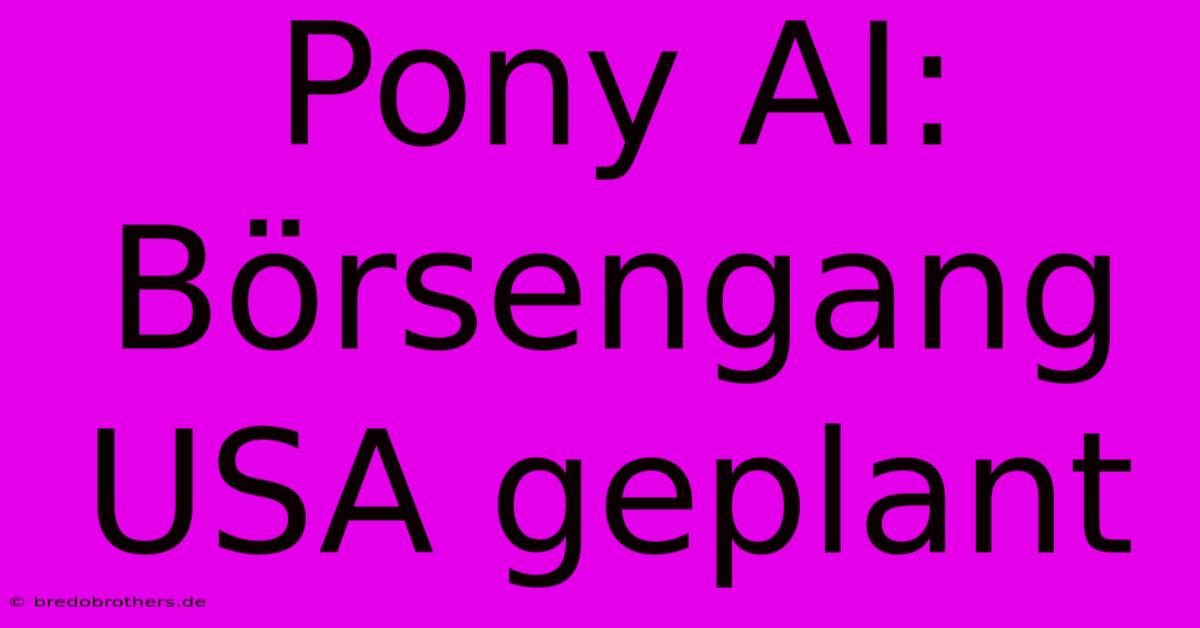 Pony AI: Börsengang USA Geplant