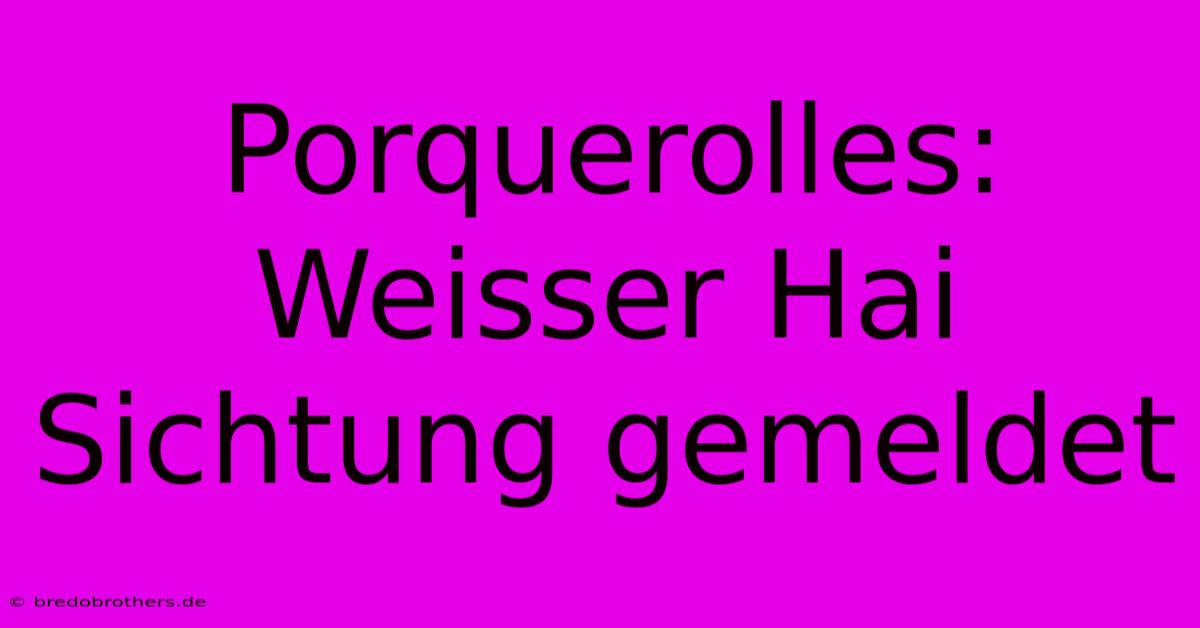 Porquerolles: Weisser Hai Sichtung Gemeldet