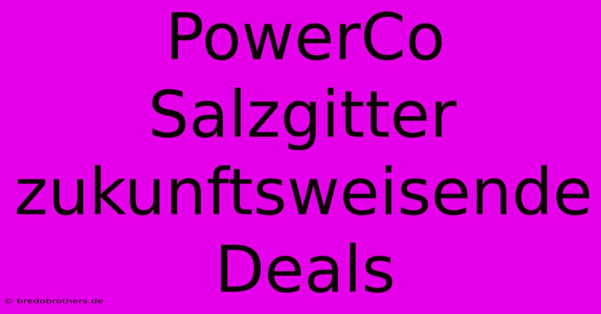 PowerCo Salzgitter Zukunftsweisende Deals