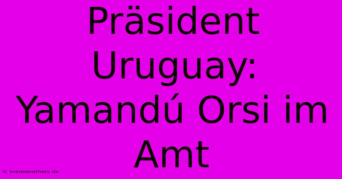 Präsident Uruguay: Yamandú Orsi Im Amt