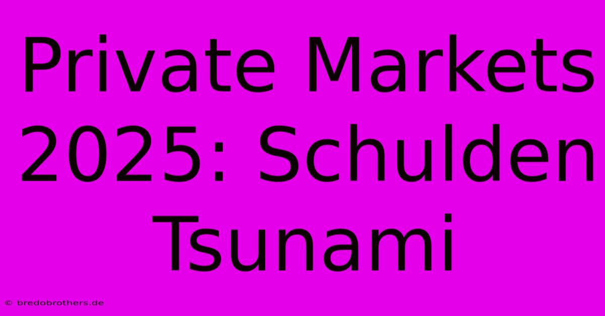 Private Markets 2025: Schulden Tsunami