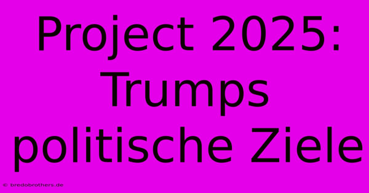 Project 2025: Trumps  Politische Ziele