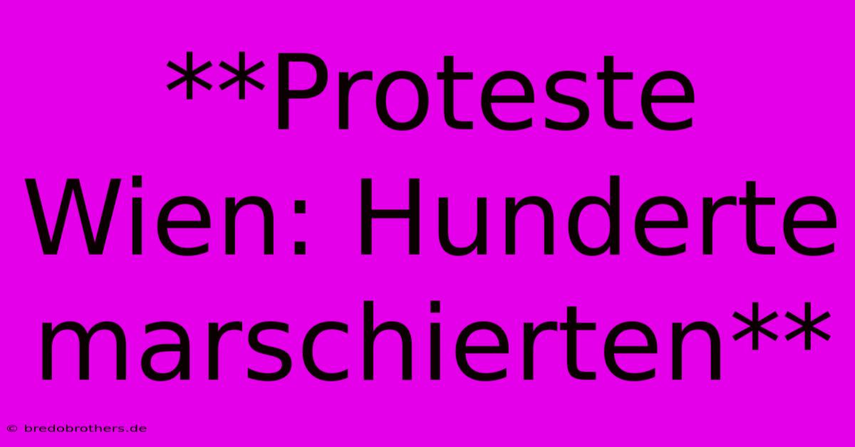 **Proteste Wien: Hunderte Marschierten**