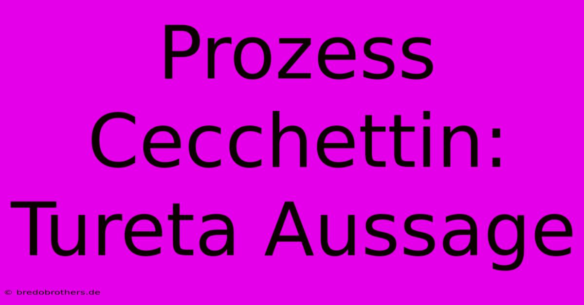 Prozess Cecchettin: Tureta Aussage