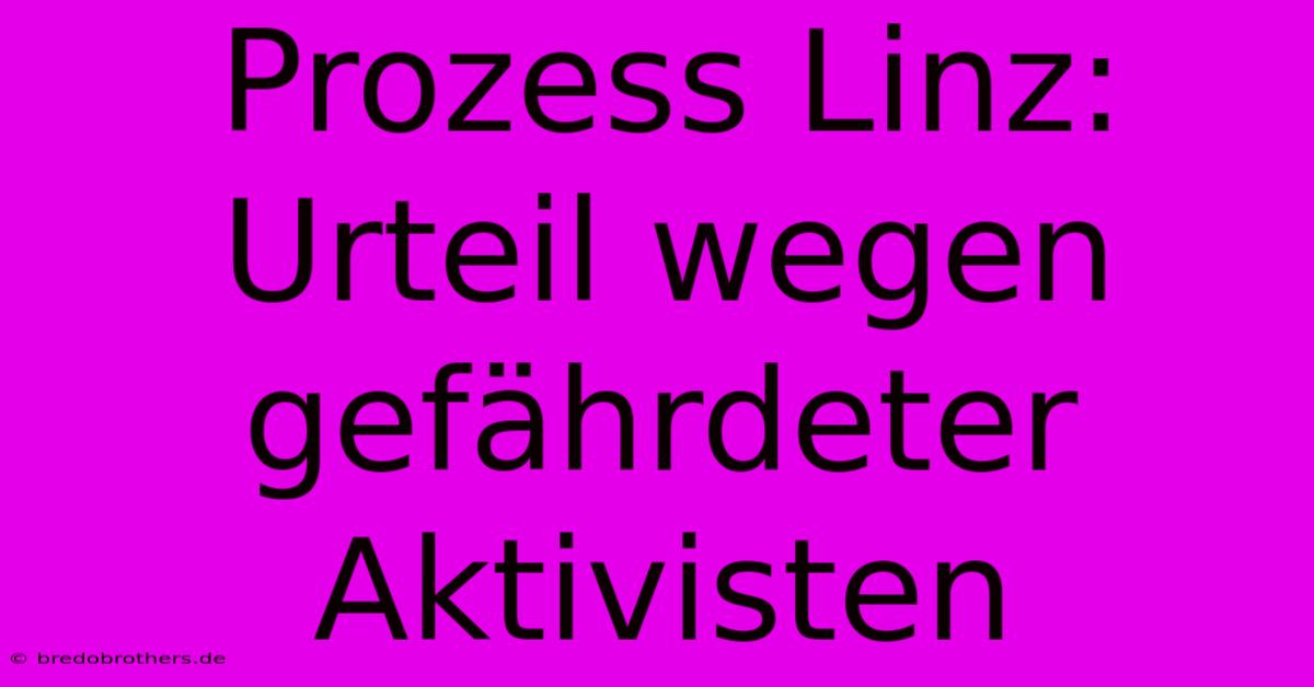 Prozess Linz: Urteil Wegen Gefährdeter Aktivisten