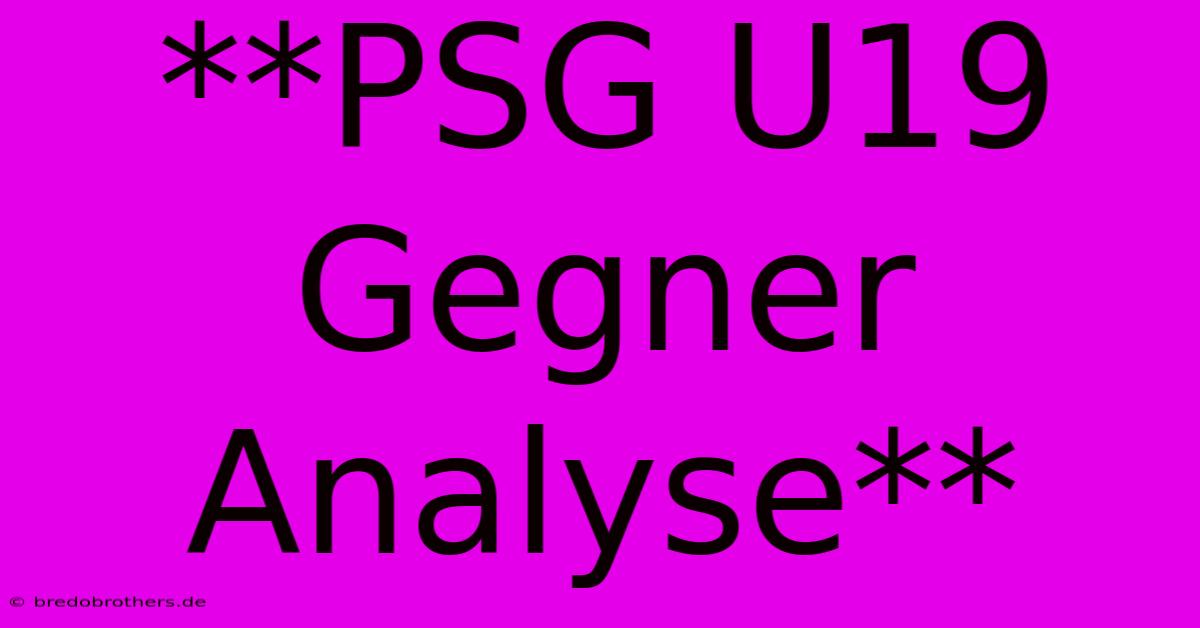 **PSG U19 Gegner Analyse**