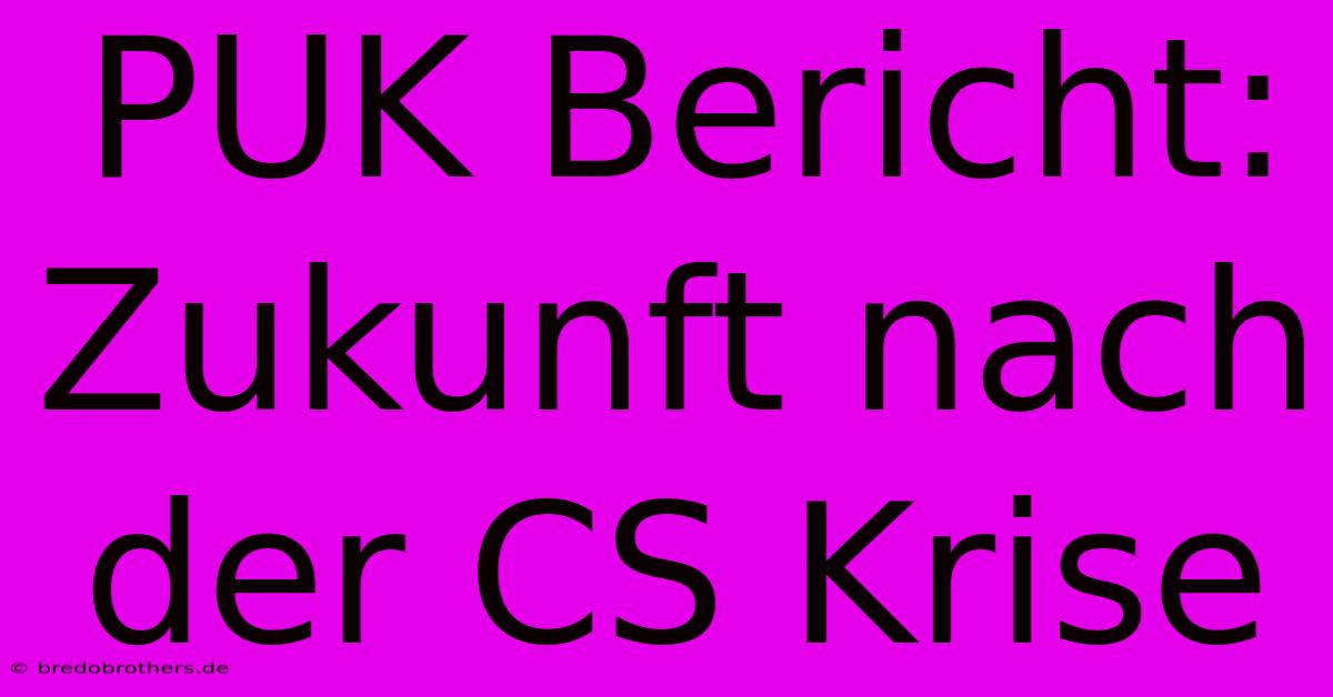 PUK Bericht:  Zukunft Nach Der CS Krise