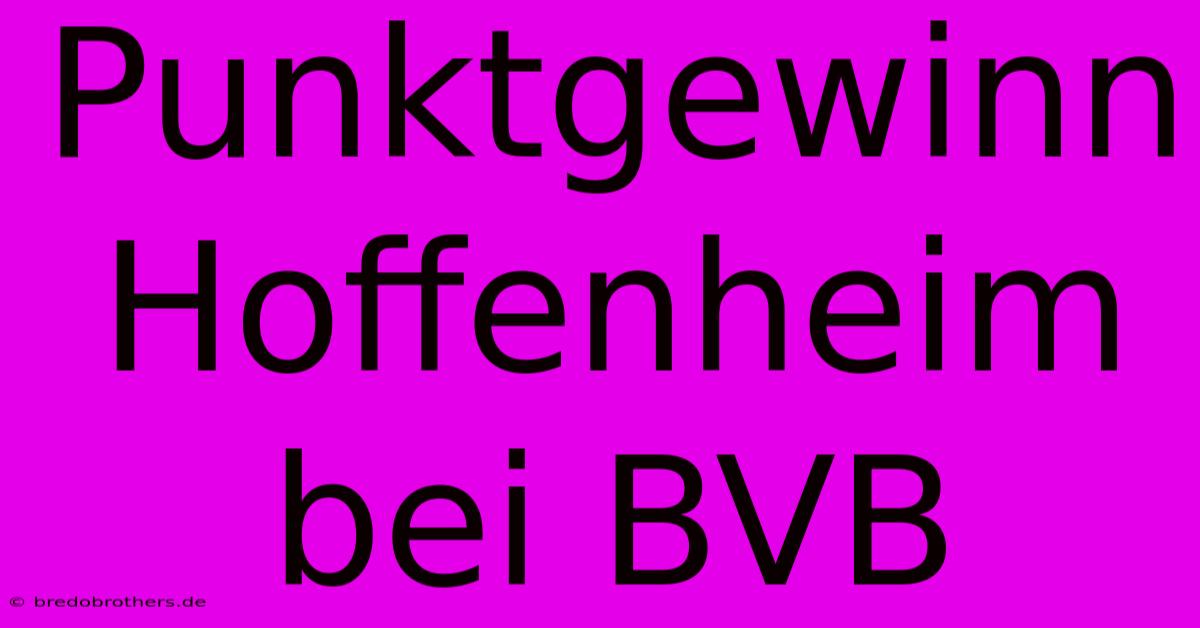 Punktgewinn Hoffenheim Bei BVB