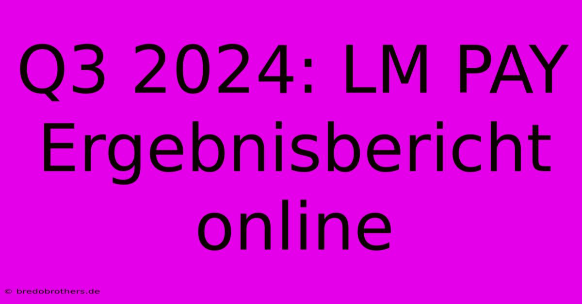 Q3 2024: LM PAY Ergebnisbericht Online