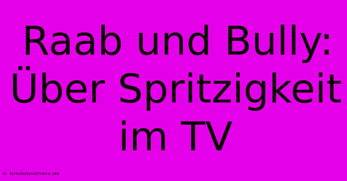 Raab Und Bully: Über Spritzigkeit Im TV