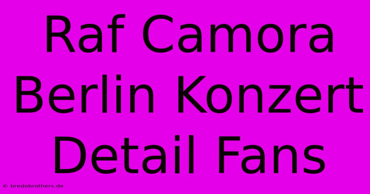 Raf Camora Berlin Konzert Detail Fans