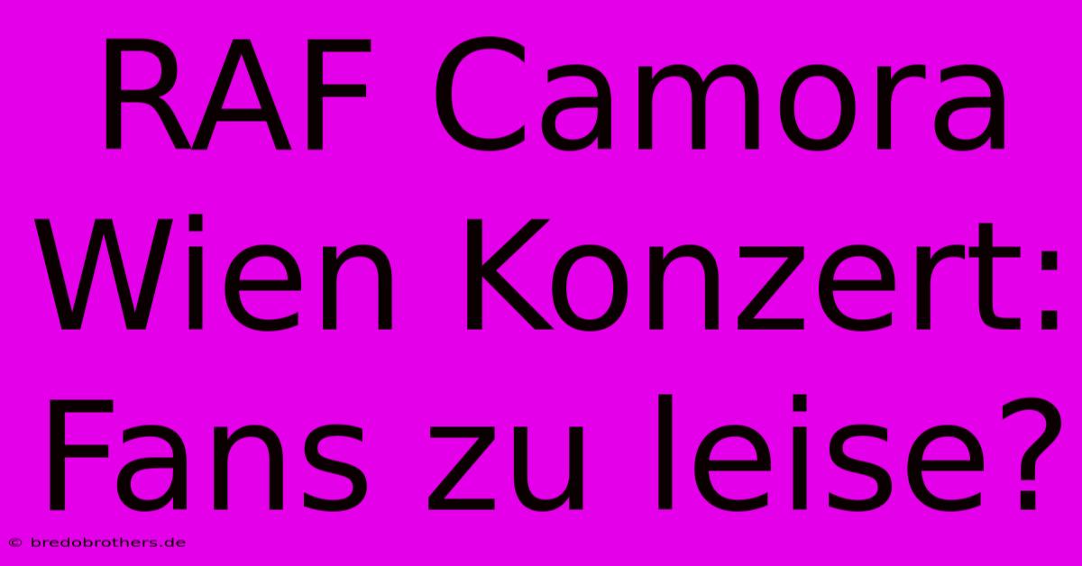 RAF Camora Wien Konzert: Fans Zu Leise?