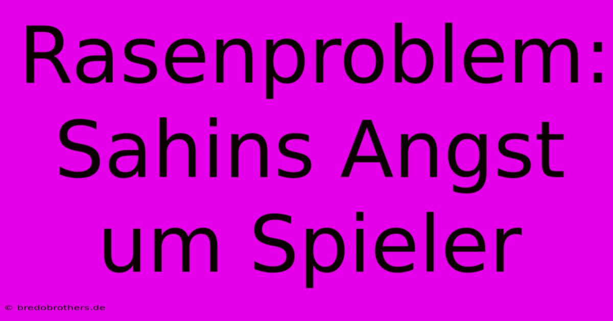 Rasenproblem: Sahins Angst Um Spieler