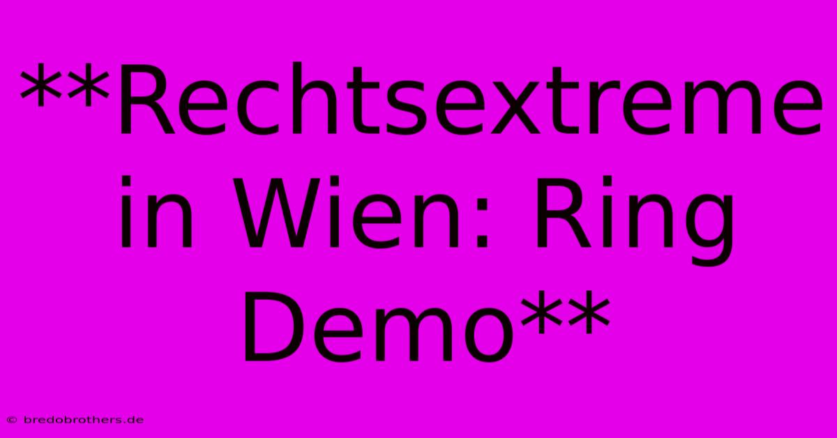 **Rechtsextreme In Wien: Ring Demo**