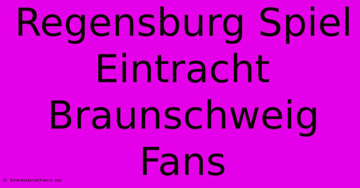 Regensburg Spiel Eintracht Braunschweig Fans