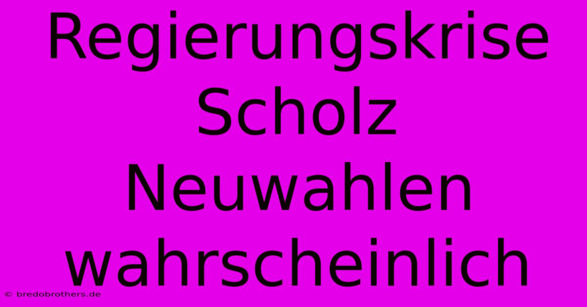 Regierungskrise Scholz Neuwahlen Wahrscheinlich