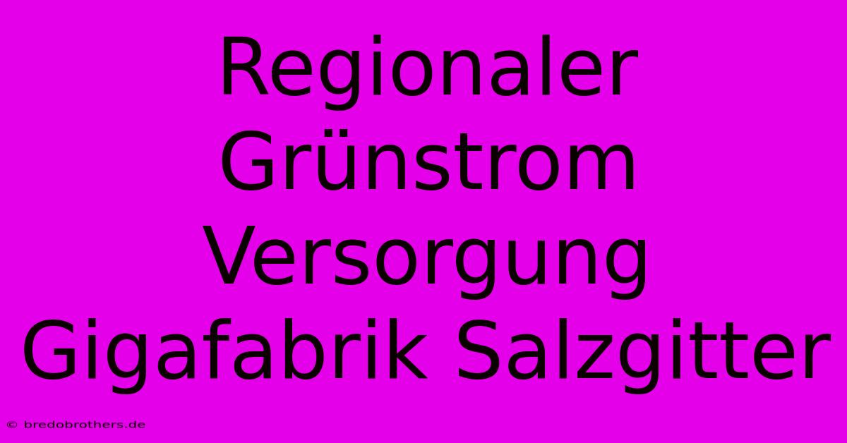 Regionaler Grünstrom Versorgung Gigafabrik Salzgitter