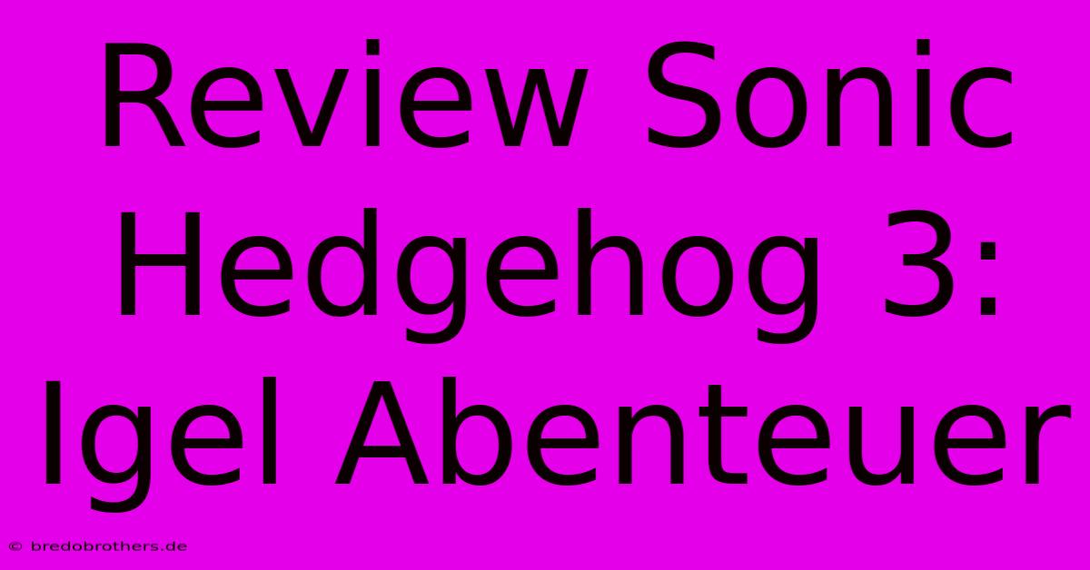 Review Sonic Hedgehog 3: Igel Abenteuer