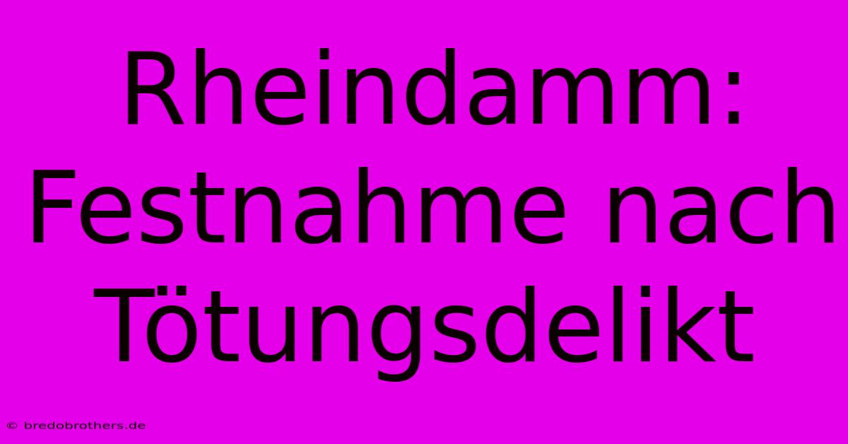 Rheindamm: Festnahme Nach Tötungsdelikt