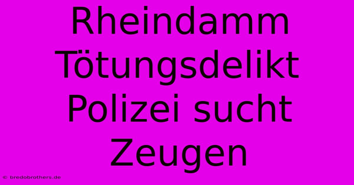 Rheindamm Tötungsdelikt Polizei Sucht Zeugen