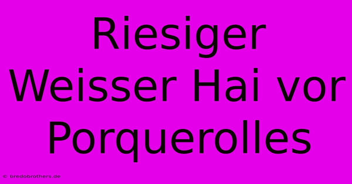 Riesiger Weisser Hai Vor Porquerolles