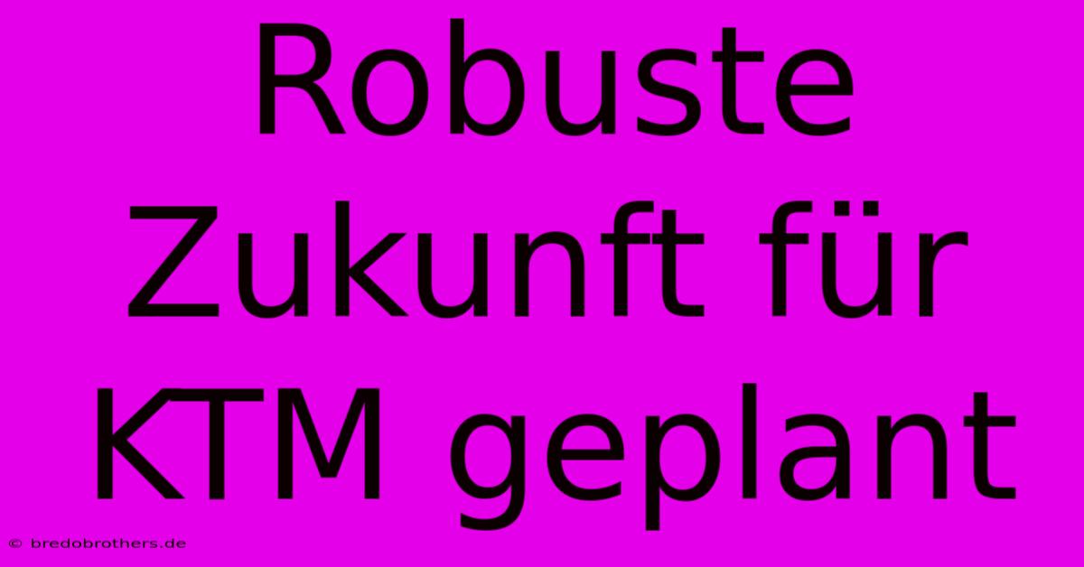 Robuste Zukunft Für KTM Geplant