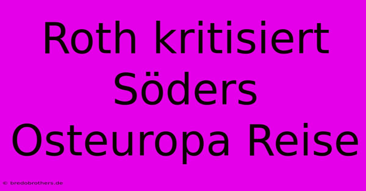 Roth Kritisiert Söders Osteuropa Reise