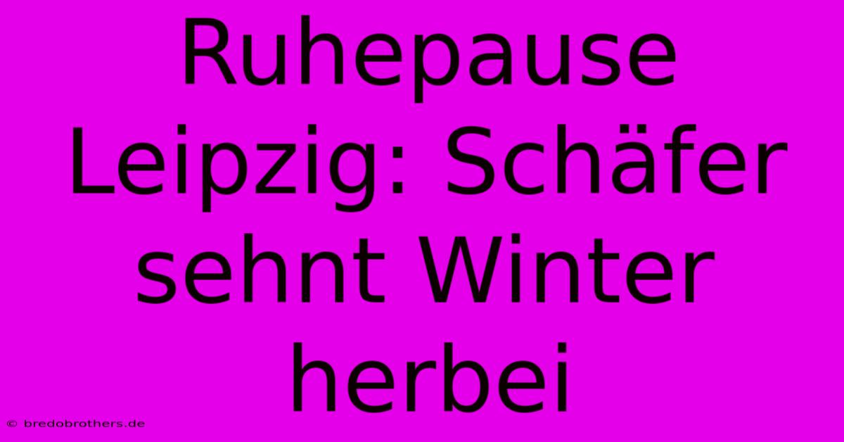 Ruhepause Leipzig: Schäfer Sehnt Winter Herbei