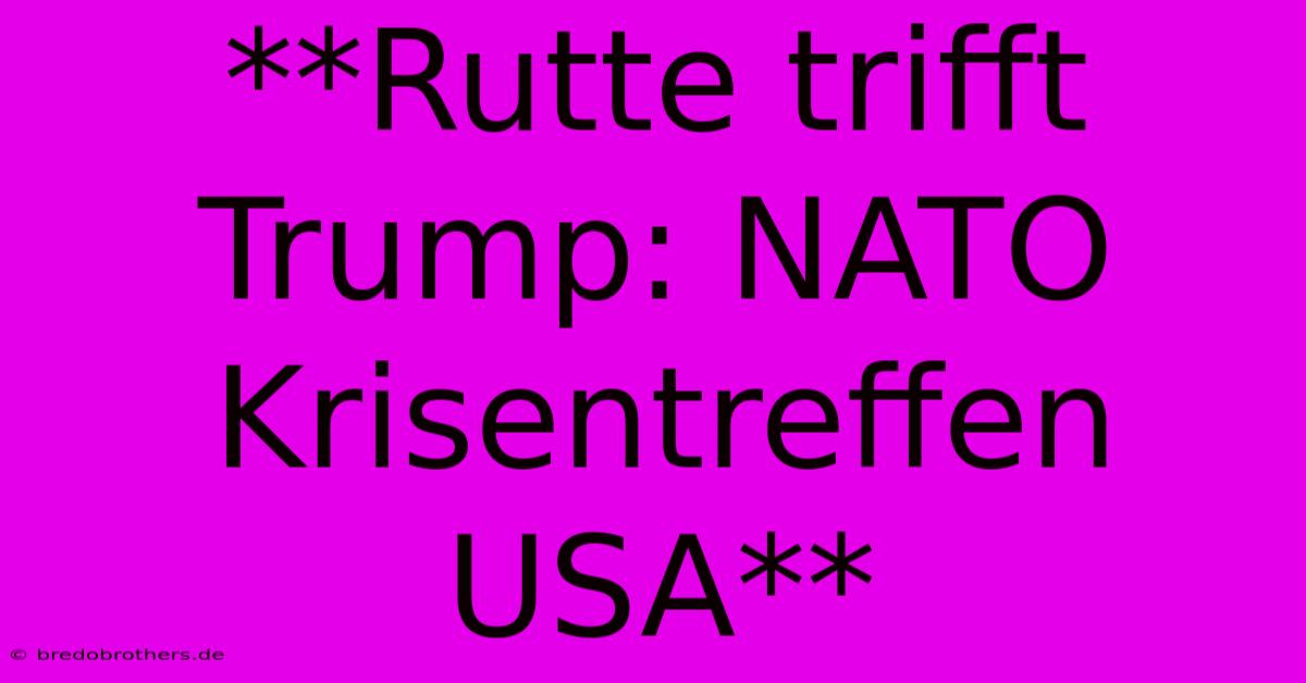 **Rutte Trifft Trump: NATO Krisentreffen USA**