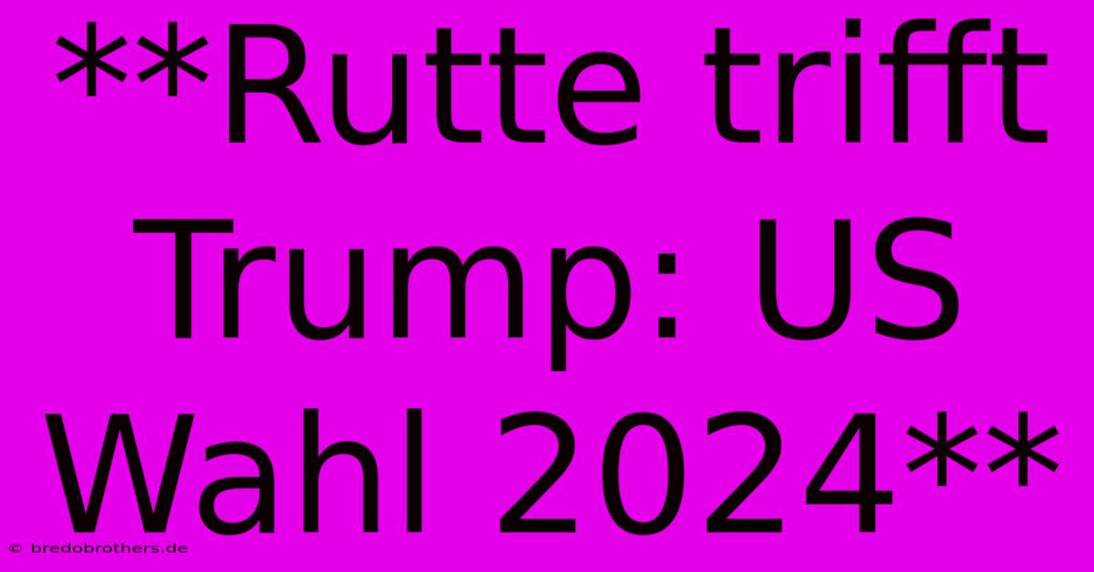 **Rutte Trifft Trump: US Wahl 2024**