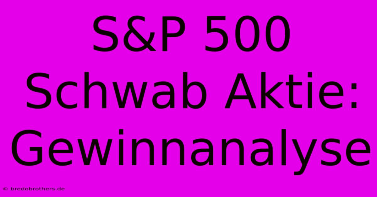 S&P 500 Schwab Aktie: Gewinnanalyse