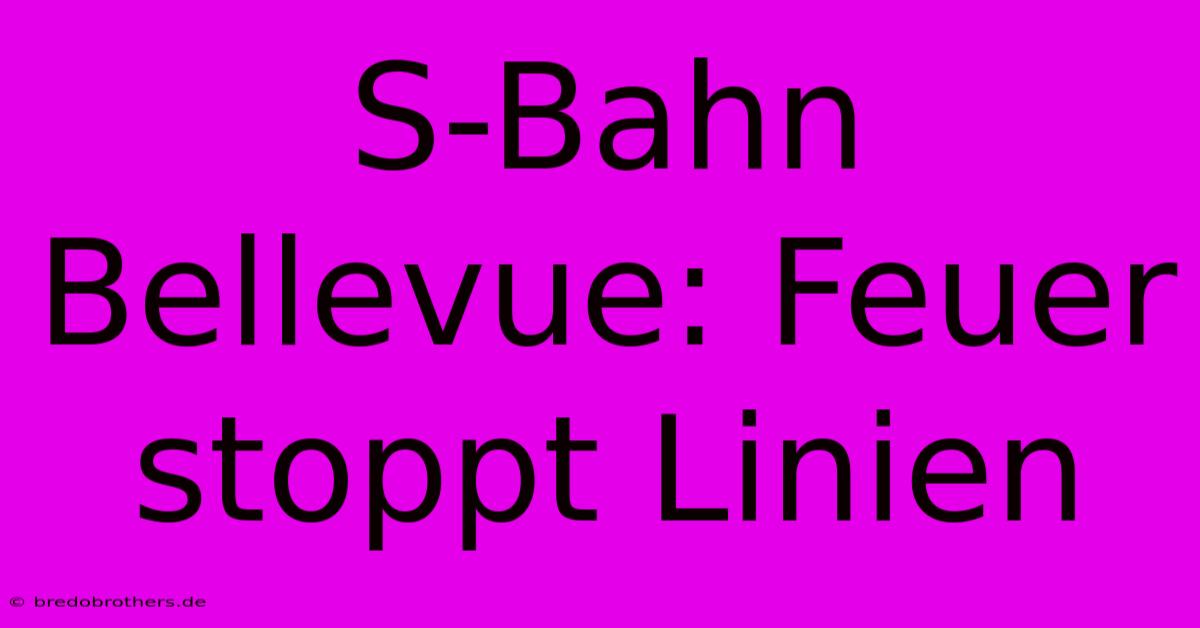 S-Bahn Bellevue: Feuer Stoppt Linien