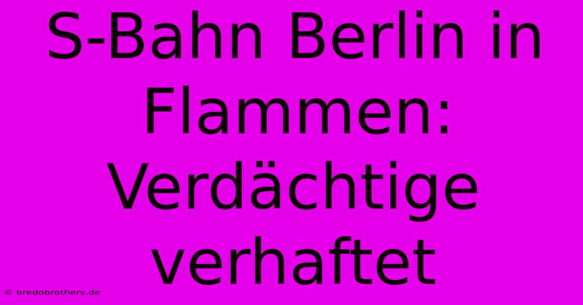 S-Bahn Berlin In Flammen: Verdächtige Verhaftet