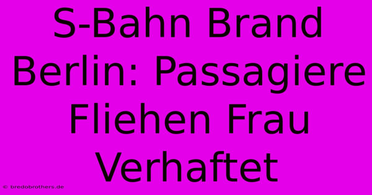 S-Bahn Brand Berlin: Passagiere Fliehen Frau Verhaftet