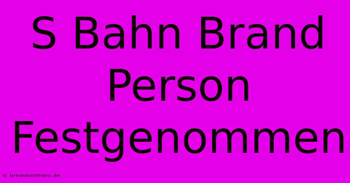 S Bahn Brand Person Festgenommen