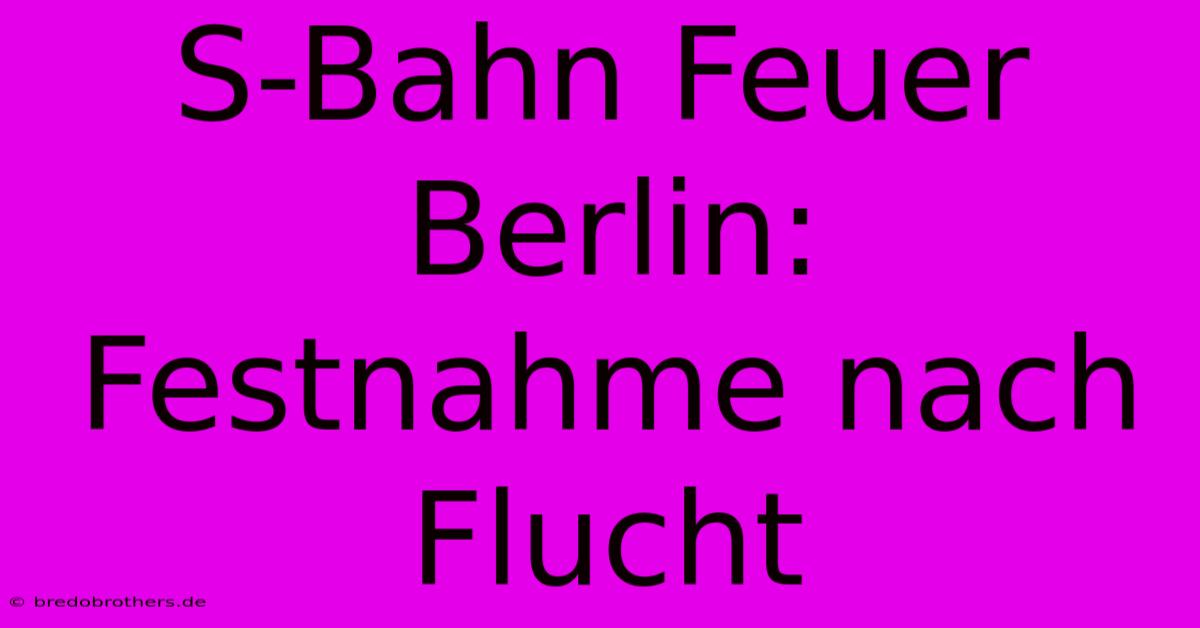 S-Bahn Feuer Berlin: Festnahme Nach Flucht