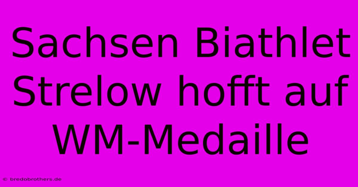 Sachsen Biathlet Strelow Hofft Auf WM-Medaille