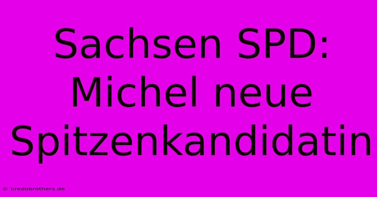 Sachsen SPD: Michel Neue Spitzenkandidatin