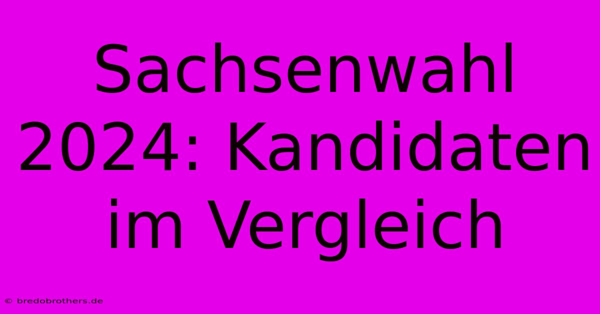 Sachsenwahl 2024: Kandidaten Im Vergleich