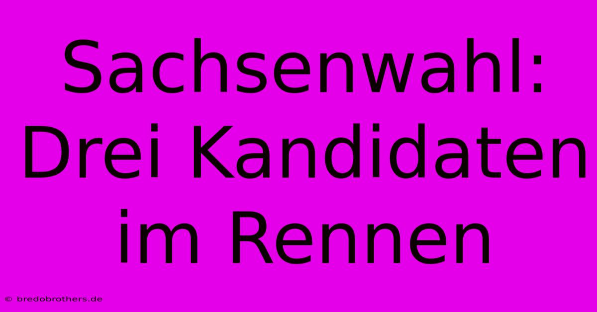 Sachsenwahl: Drei Kandidaten Im Rennen