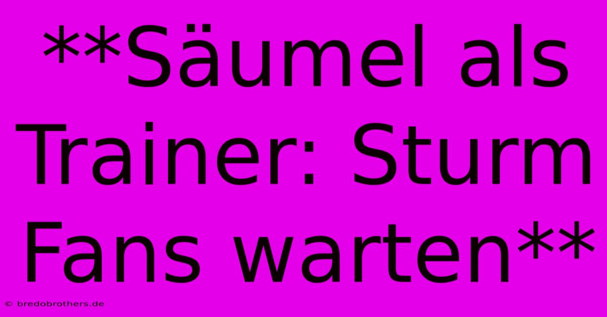 **Säumel Als Trainer: Sturm Fans Warten**