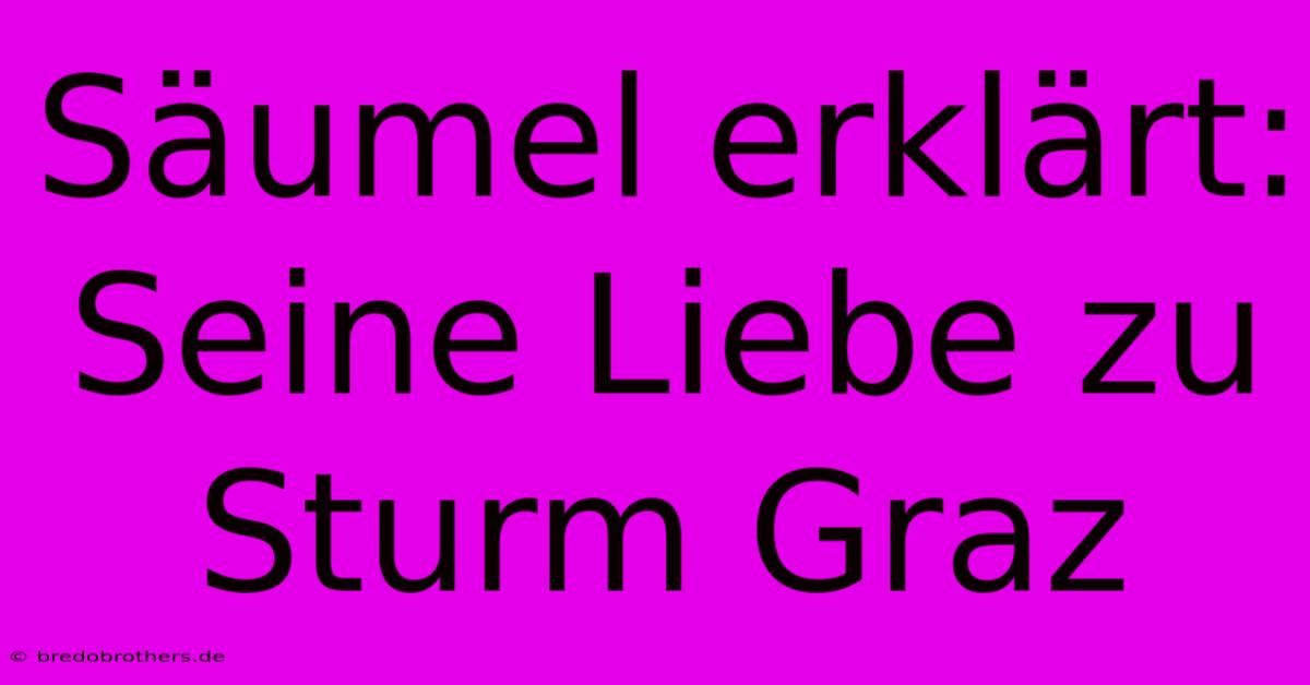 Säumel Erklärt: Seine Liebe Zu Sturm Graz