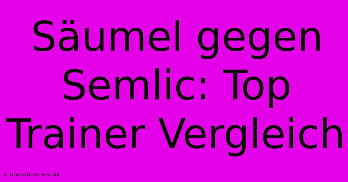 Säumel Gegen Semlic: Top Trainer Vergleich