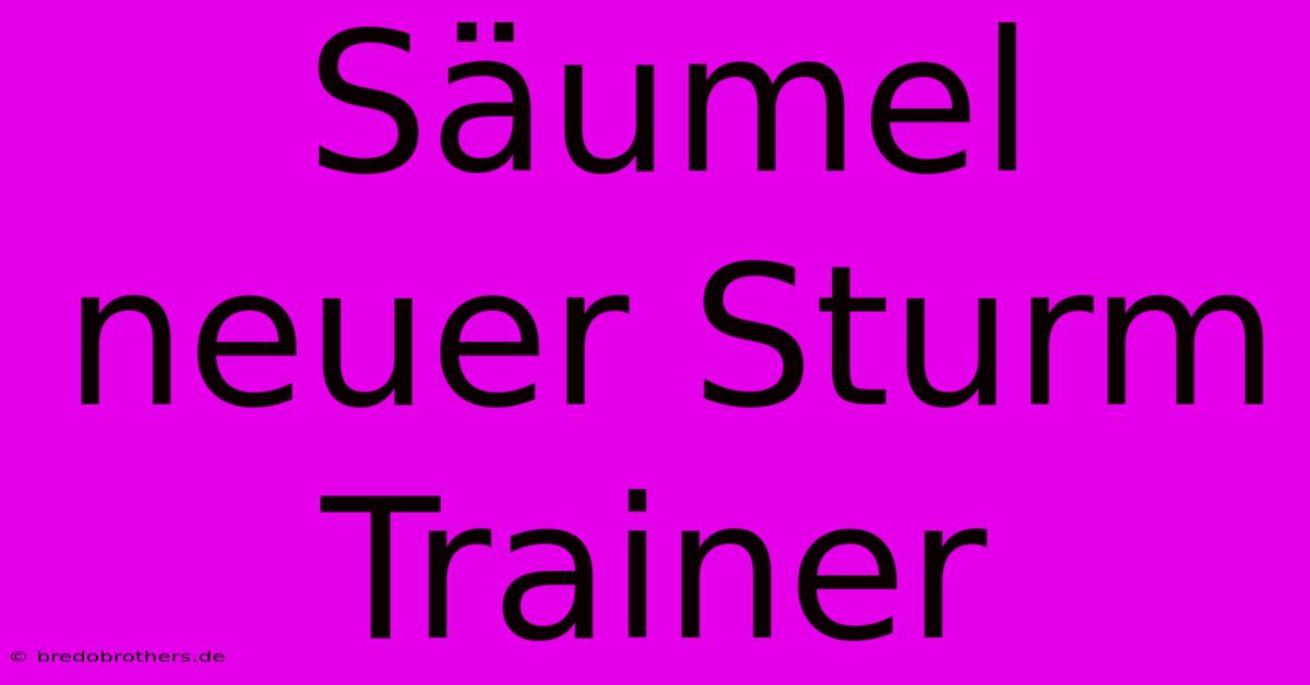 Säumel Neuer Sturm Trainer