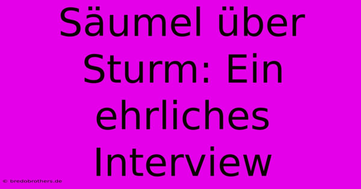 Säumel Über Sturm: Ein Ehrliches Interview