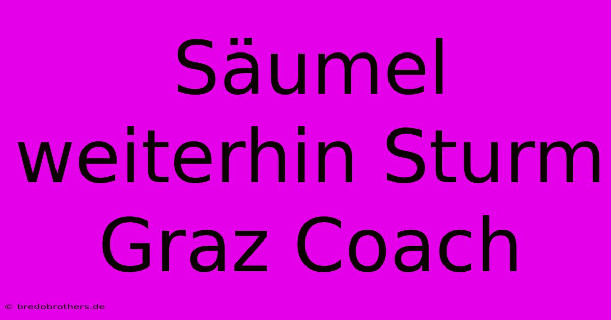 Säumel Weiterhin Sturm Graz Coach