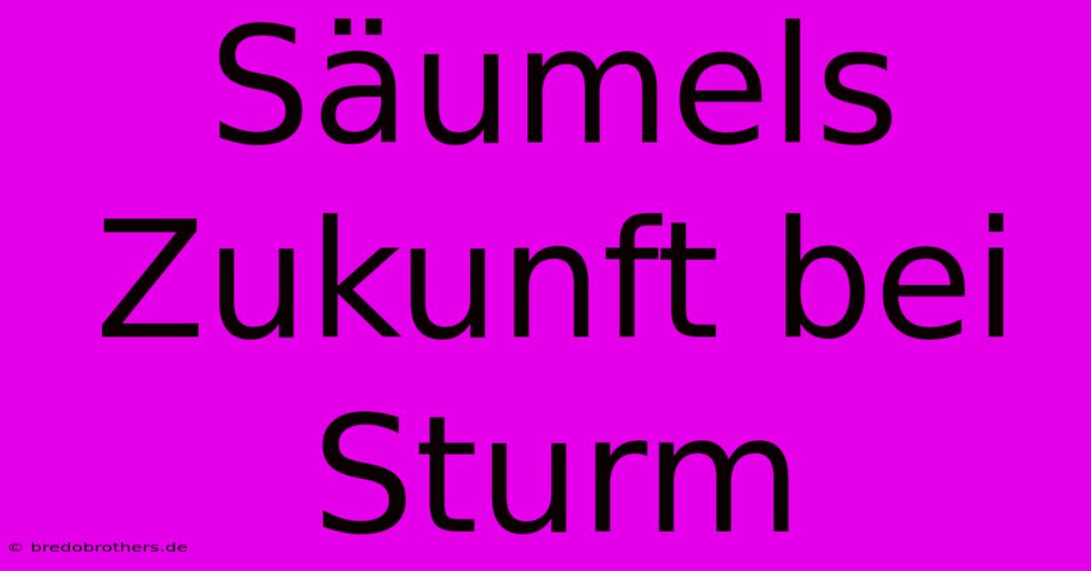 Säumels Zukunft Bei Sturm